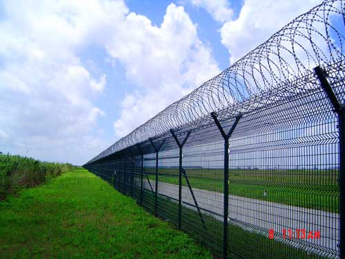 �C���o��