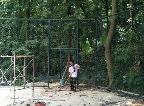 �w�������ھW���b