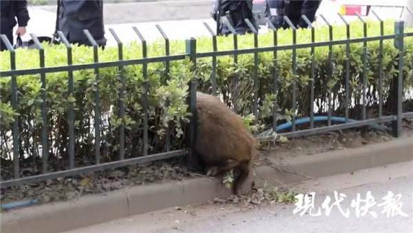 �Ͼ��o�ھW�r��