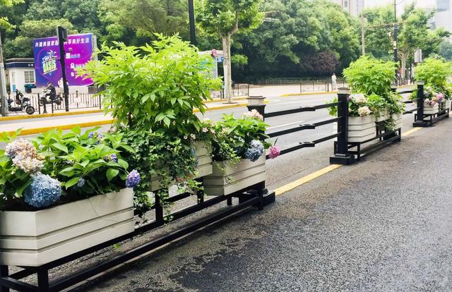 �o�ھW�r��