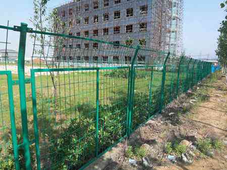 ����o�ھW�r��