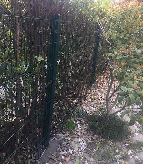 �������o�ھW